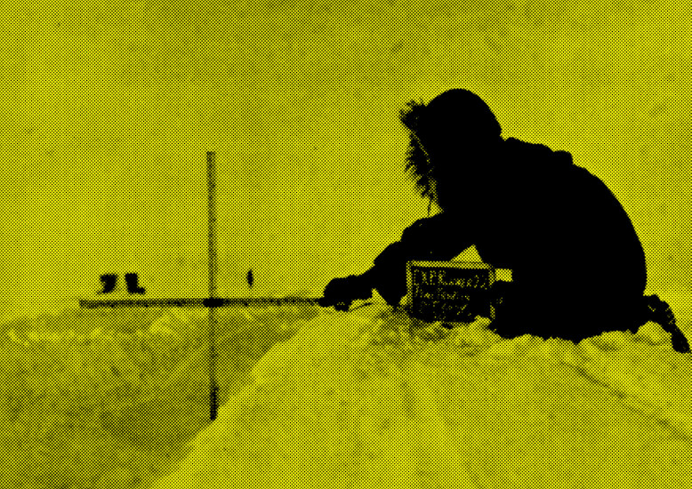 © Anastasia Mityukova