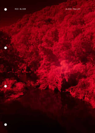 Red Bloom - Fragment #10 - Image 2