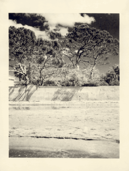 © Chiara Indelicato