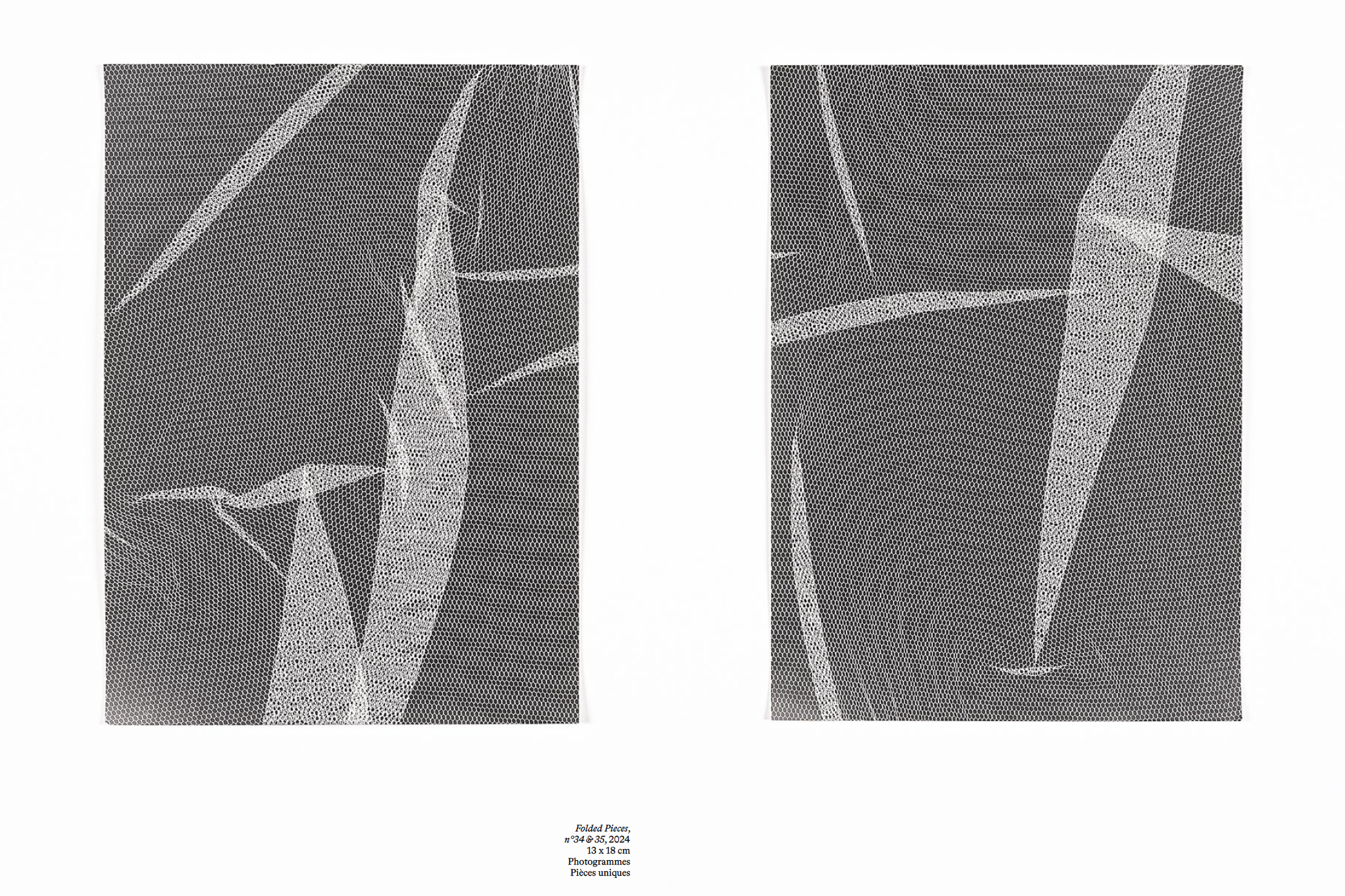 LES MÉTAMORPHOSES DU LABORATOIRE – Image 3