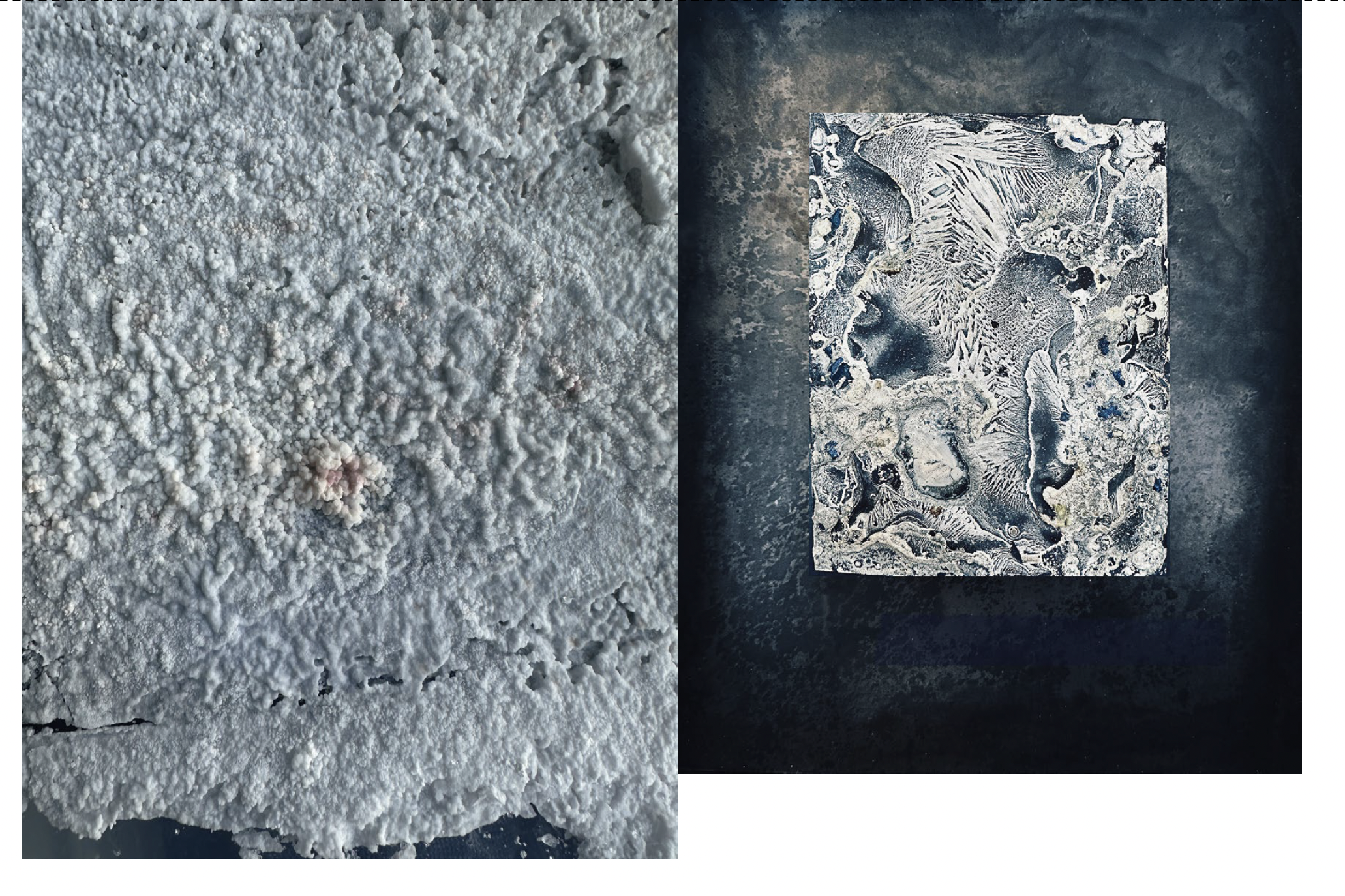 LES MÉTAMORPHOSES DU LABORATOIRE – Image 4
