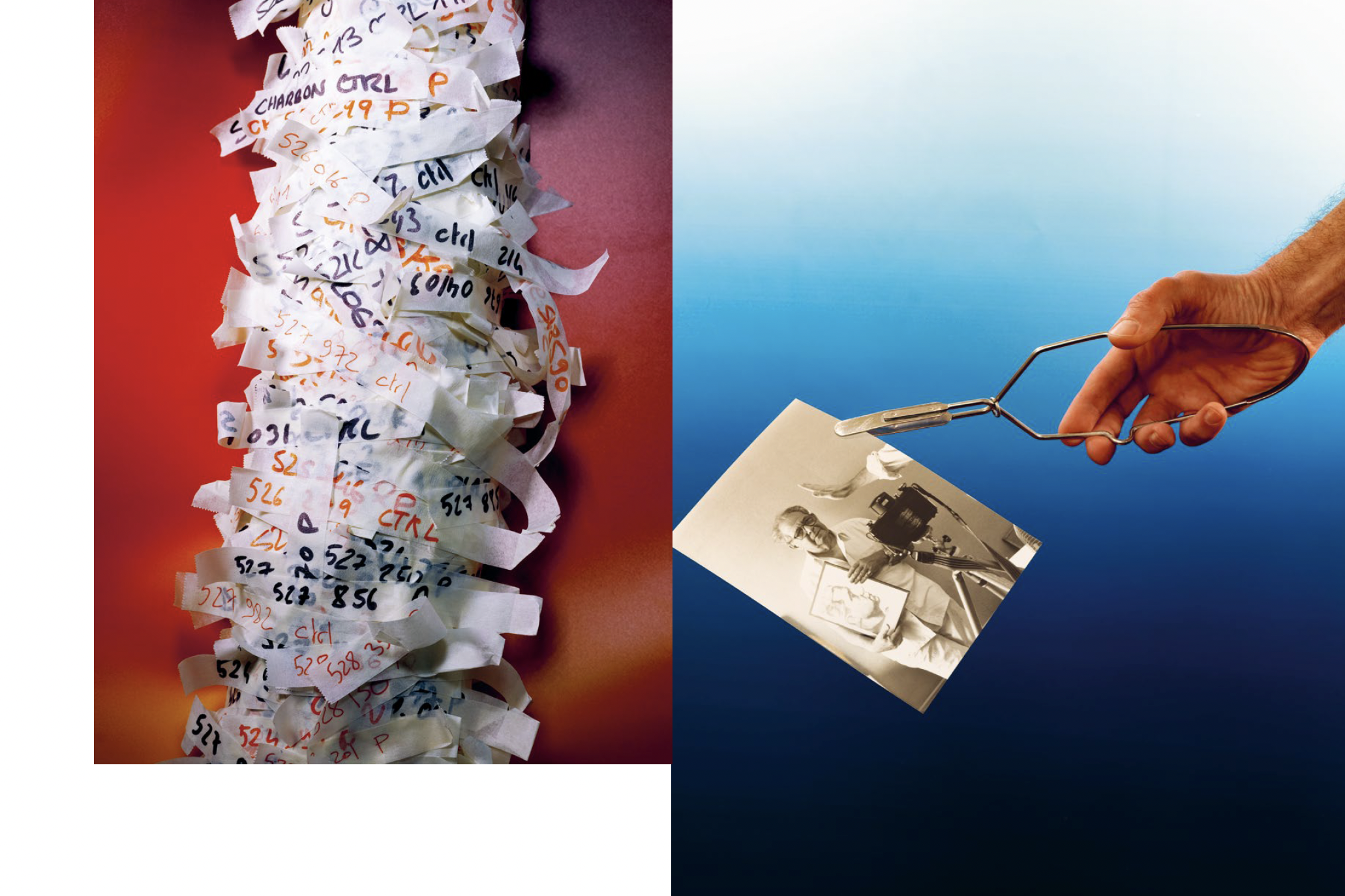 LES MÉTAMORPHOSES DU LABORATOIRE – Image 12