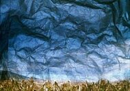 ©Dornith Doherty / Migratory Patterns