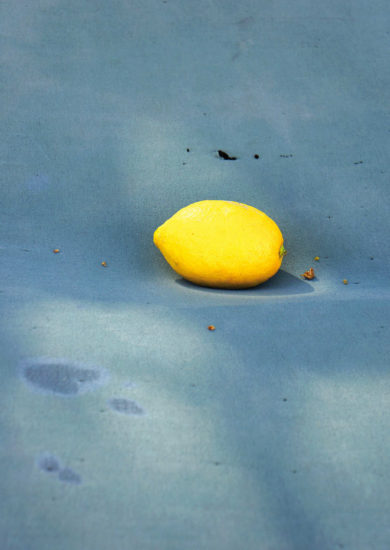 A Lemon, 2018 © Jessica Backhaus