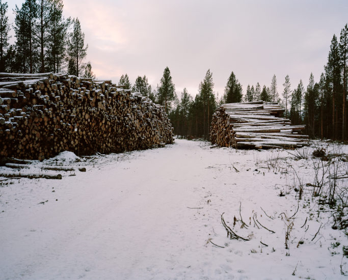 MDG_I Wish the World Was Flat 040