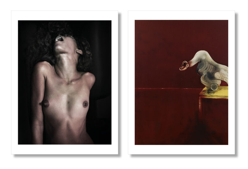 [:fr]Édition limitée présentée dans un coffret[:en]Collector Edition coming in a box[:]